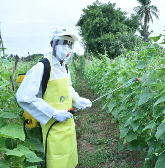 Smart Farming Practices