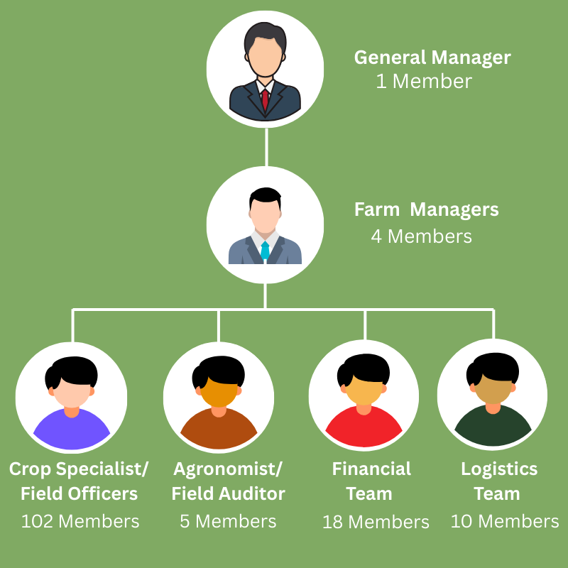 Team Strength